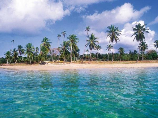 Selous safari & Mafia Islands diving holiday
