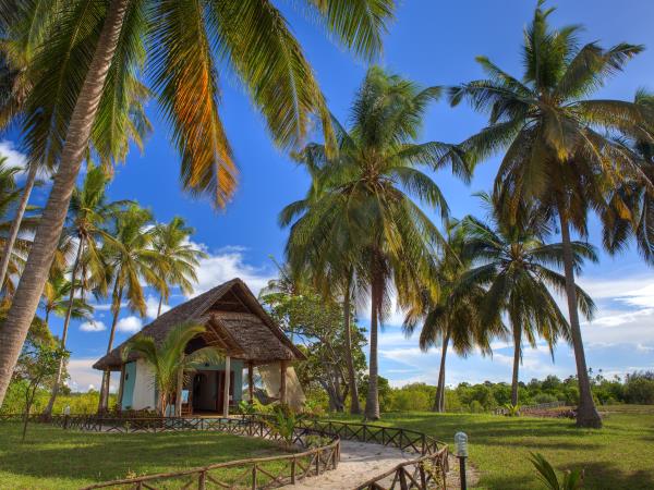 Selous safari & Mafia Islands diving holiday