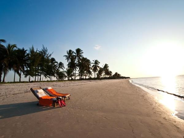 Selous safari & Mafia Islands diving holiday