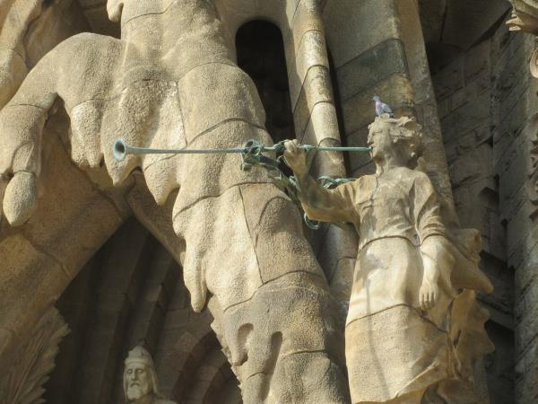 Cycling tours in Catalonia, Girona to Barcelona