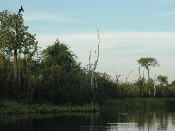 Tailor made holiday in Brazil