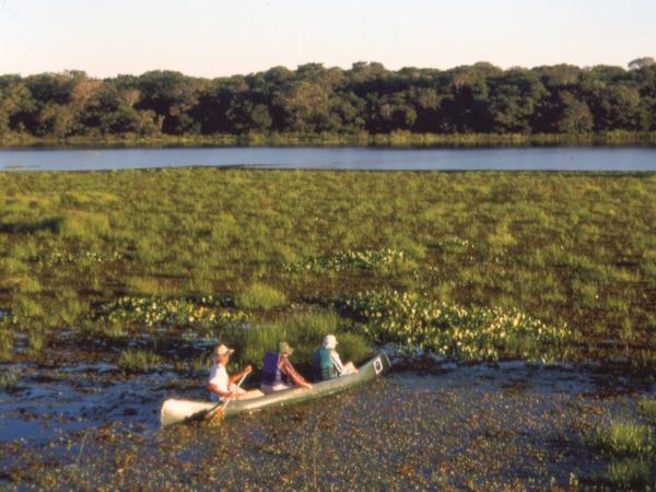 Tailor made holiday in Brazil
