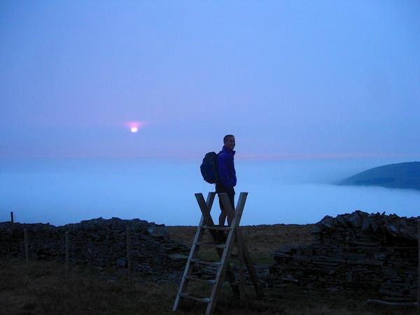 Vegetarian bed & breakfast in West Wales