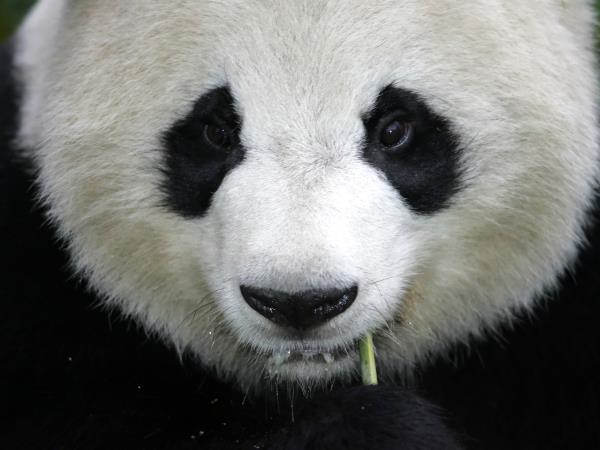 Tailor made holiday in China