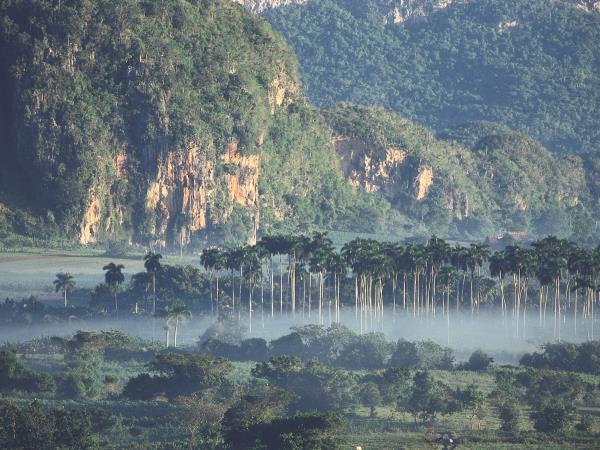Tailor made holiday to Western Cuba