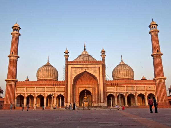 Tiger safari and Golden Triangle tour in India