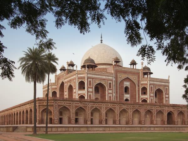 Tiger safari and Golden Triangle tour in India