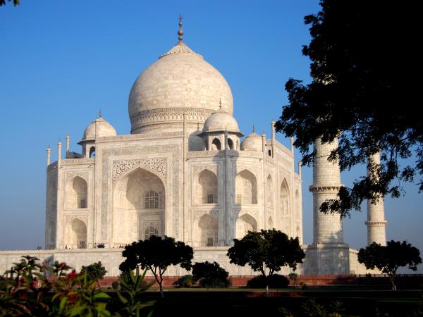 Tiger safari and Golden Triangle tour in India