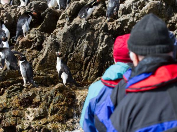 Wildlife Cruise of New Zealand Subantarctic Islands