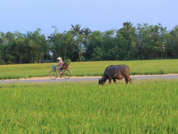 Vietnam holiday, South to North