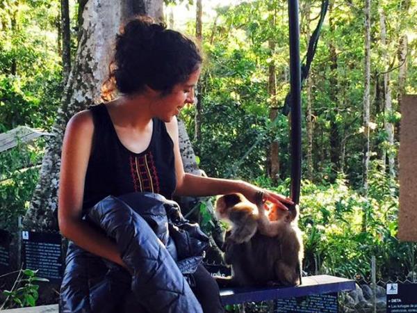 Volunteering with monkeys in Ecuador