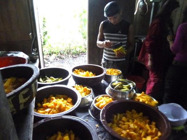 Volunteering with monkeys in Ecuador