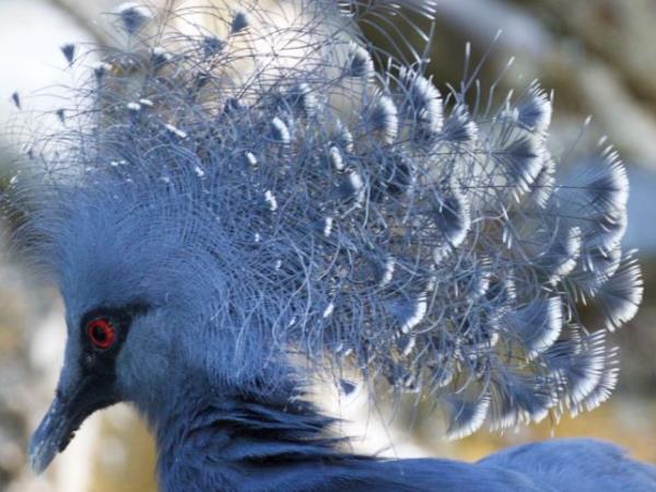 Melanesia cruise, history and wildlife cruise