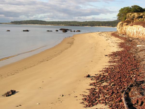 Southern Australia & Tasmania tailor made holiday