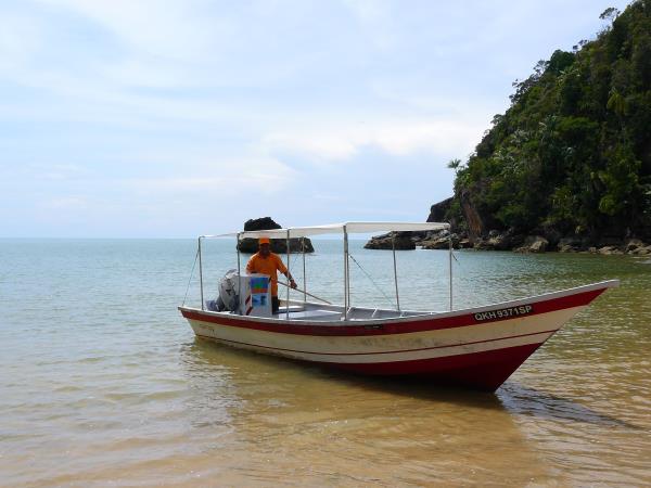 Wild Borneo holiday, private departure