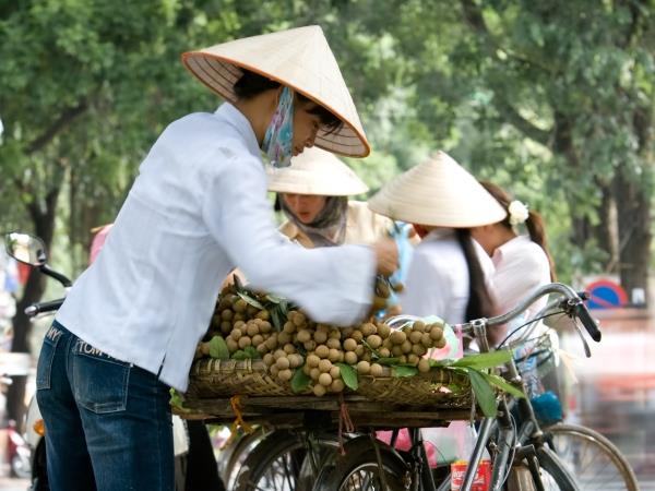 Vietnam tailor made holiday, North to South
