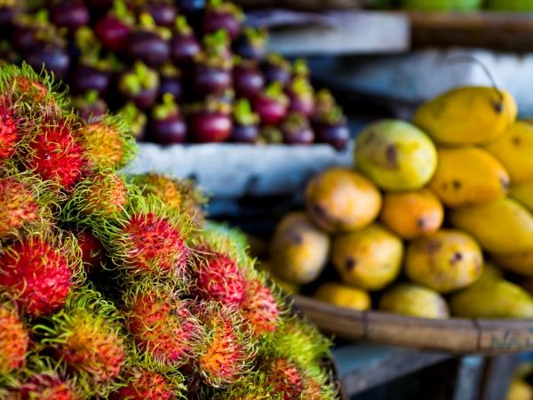 Vietnam tailor made holiday, North to South