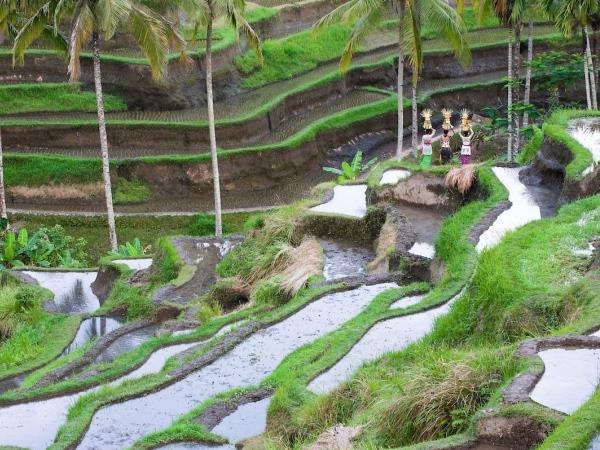 Bali holidays on a shoestring