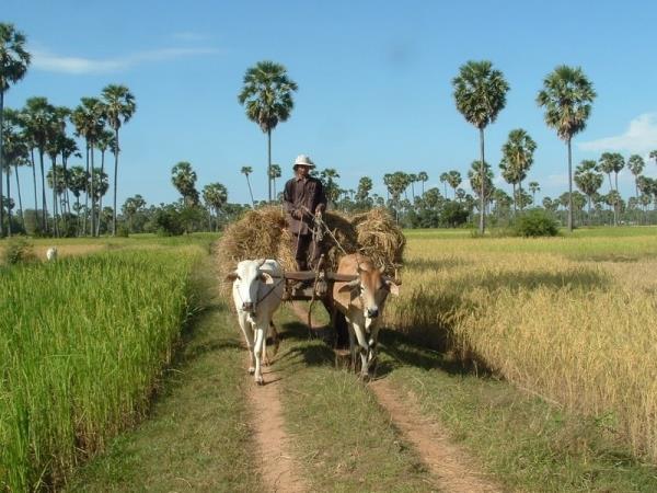 Cambodia adventure holiday, tailor made