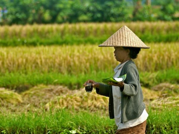 Tailor made holiday in Bali, Off the beaten track