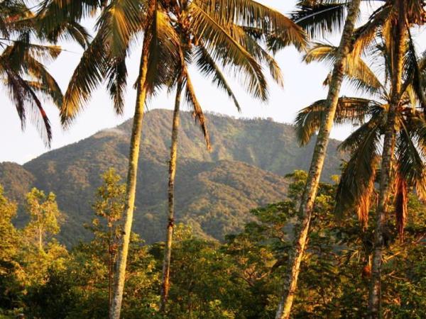 Tailor made holiday in Bali, Off the beaten track