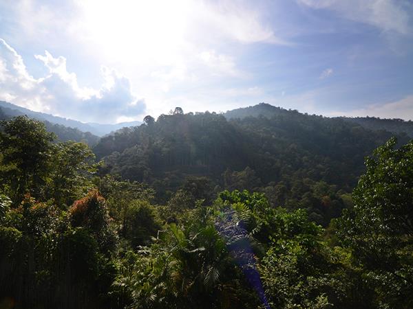 Malaysia rainforest bungalows near Kuala Lumpur