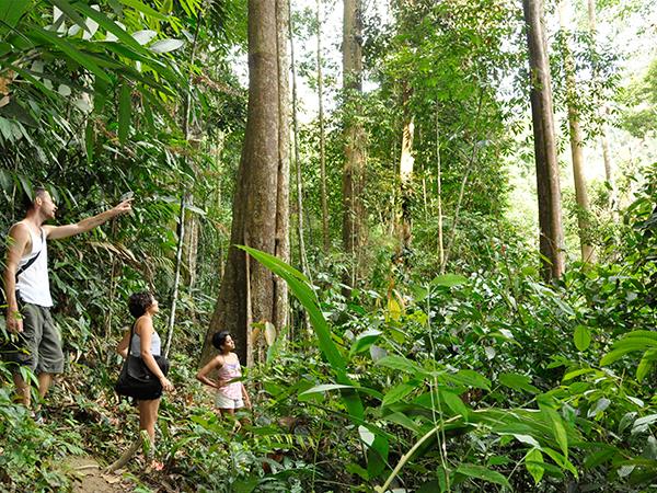 Malaysia rainforest bungalows near Kuala Lumpur
