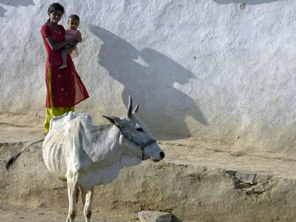 India tour, rural India