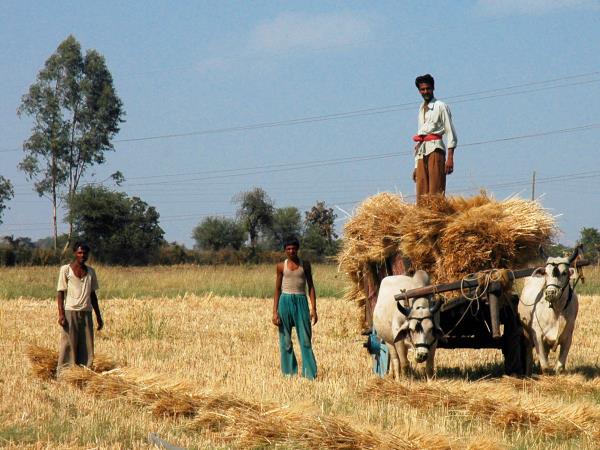 India tour, rural India