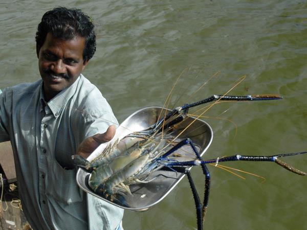 Kerala and Karnataka small group holiday, India
