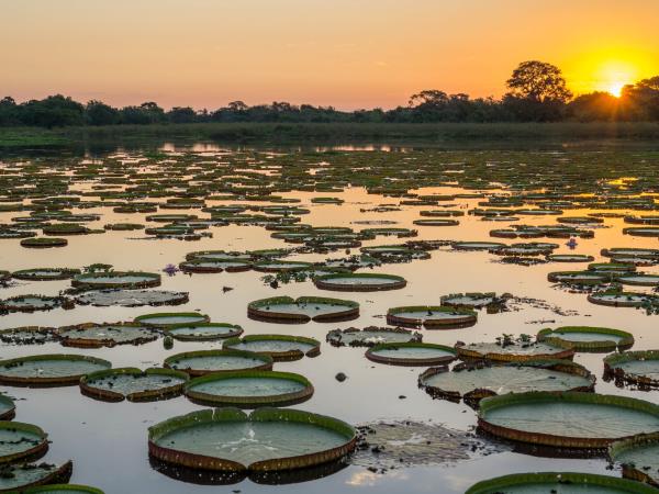 Brazil tailor made holidays, wetlands & waterfalls