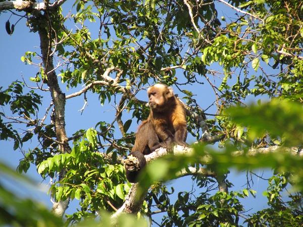 Bolivia holiday, Madidi National Park & ecolodge