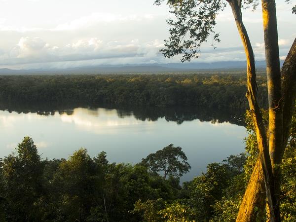 Bolivia holiday, Madidi National Park & ecolodge