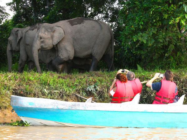Borneo family holiday, tailor made