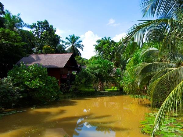 Borneo family holiday, tailor made
