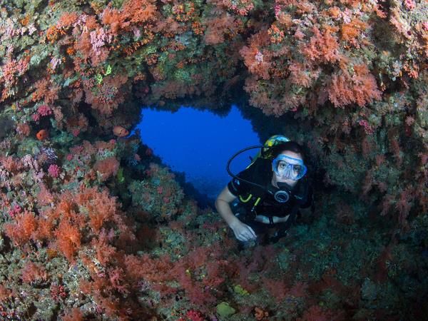Diving holiday in the Maldives, local experience