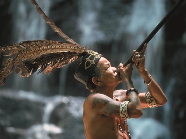 Borneo holiday, Sarawak highlights