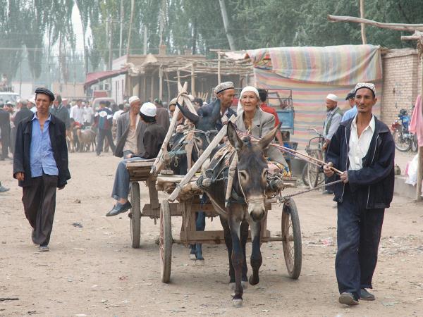 Silk Road overland holiday