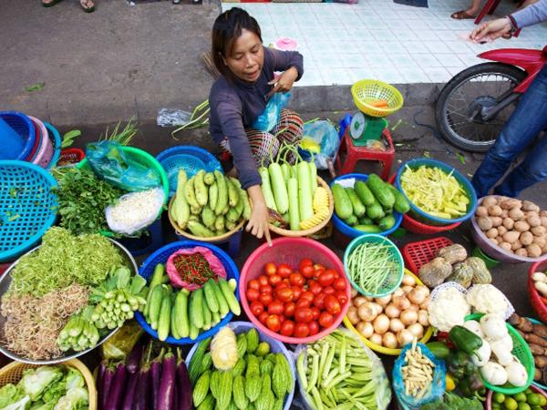 Vietnam small group explorer holiday