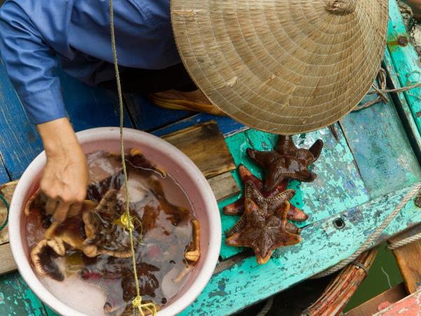 Vietnam small group explorer holiday