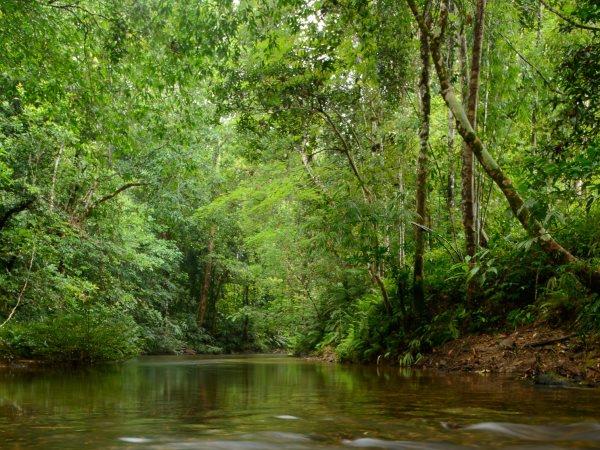 Sabah & Sarawak holiday in Borneo