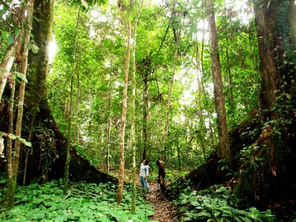 Sabah & Sarawak holiday in Borneo