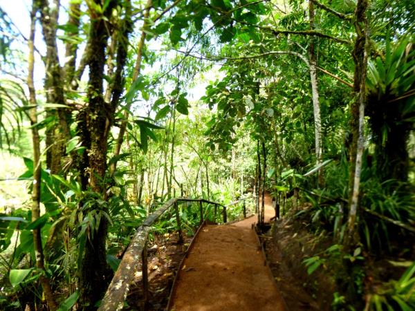 Ecuador wildlife sanctuary volunteering