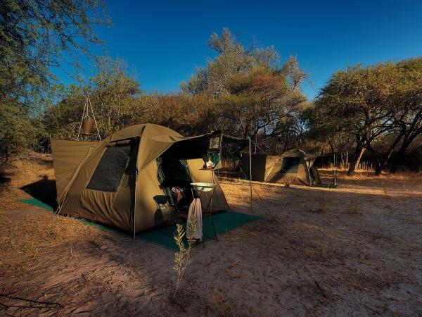 Botswana safari holiday on a shoestring