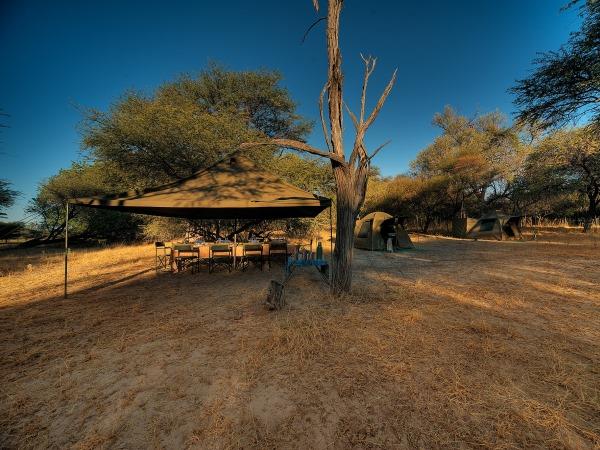 Botswana safari holiday on a shoestring