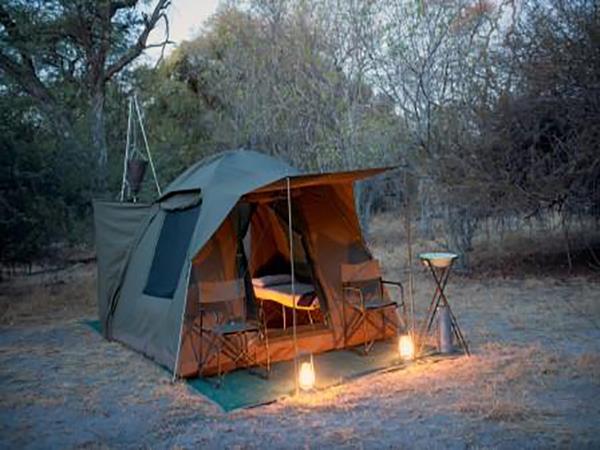 Botswana safari holiday on a shoestring