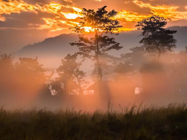 Assam and Nagaland photography tour, India