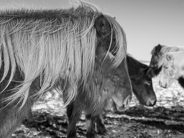 Northern Lights photography tour, waterfalls & landscapes in Iceland