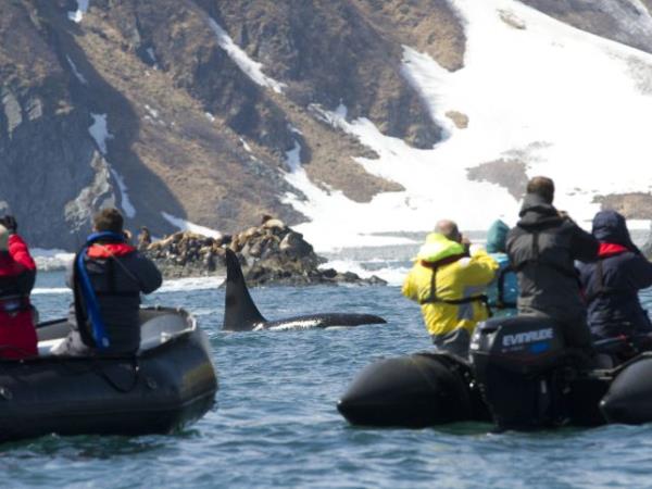 Kamchatka wildlife and bird watching cruise, Russia