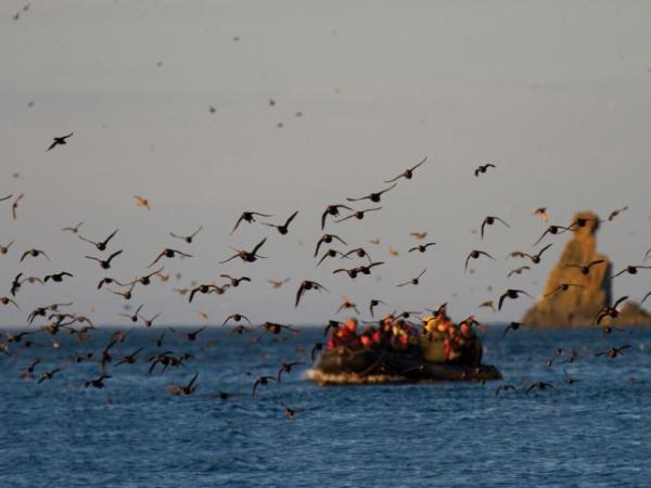 Kamchatka wildlife and bird watching cruise, Russia